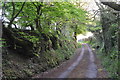 West Somerset : Country Lane