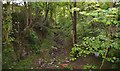 SJ8048 : Alsagers Bank: route of old mineral line by Jonathan Hutchins