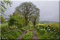 A bridleway by Spade Mill Reservoir