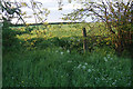 Gap through the hedge near Woodcock