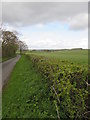 Lane near Kirkbarrow