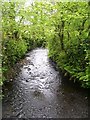 Ford Bridge, Loveston - river