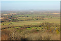 View from the Monument