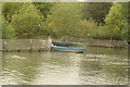 View of moored boats in the boating lake in Crystal Palace Park