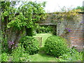 In the garden at Iden Croft Herbs