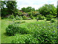 In the garden at Iden Croft Herbs