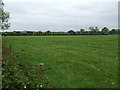 Farmland off Hinckley Road