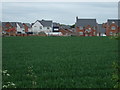 Crop field off Bosworth Road, Newbold Verdon