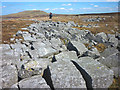 NY7723 : Blocks of gritstone, Hilton Fell by Karl and Ali