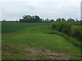 Farmland south of Orton Lane