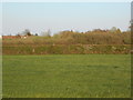 Field, Boughton Monchelsea