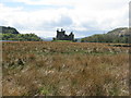 NN1327 : Kilchurn Castle from the northeast by M J Richardson