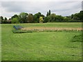 SO9521 : Cox's Meadow, Cheltenham, Glos by P L Chadwick