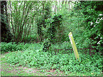 TM3298 : Footpath marker on the edge of Tub Plantation by Evelyn Simak