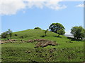 Earthworks at Haresceugh