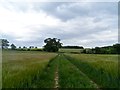 Footpath near to Arches Hall