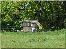 SU9072 : Chicken shack, Winkfield by Alan Hunt