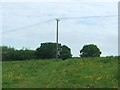 Utility Pole near Brickhouse Wood