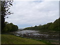 Estuary from Cosheston Bridge area