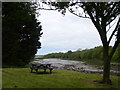 Estuary from Cosheston Bridge area