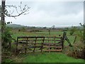 NY2436 : Field gate, south-west of Uldale by Christine Johnstone