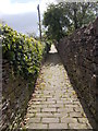 Footpath - Bingley Road