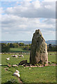 Wester Echt Recumbent Stone Circle (1)