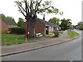 Skelton Road Postbox