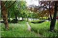 Footpath through the Golden Jubilee Gardens, Solihull