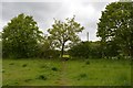 Alsager: entrance to field off Fanny