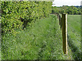 Footpath to Braziers Lane