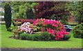 Flowerbed on roundabout at the end of Homer Road, Solihull