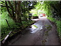 Western end of Laundry Lane, Newland