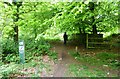 Path junction near Danby Lodge