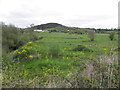 Glenkeen Townland