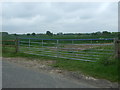 Field entrance off Orton Lane