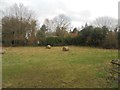 Field behind The Queens pub car park