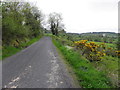 Road at Killyculla