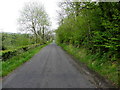 Road at Killyculla