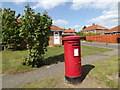 Willbye Avenue George VI Postbox