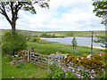 NY6058 : Upper end of Tindale  Tarn by Oliver Dixon
