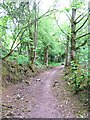 Sunken Lane, Whashton