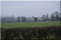 Farmland on the edge of Wymondham