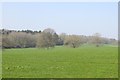 Fields near Badger Street