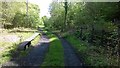 Disused railway line near Pont Walby