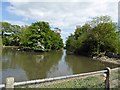 Duck pond at Burton Agnes