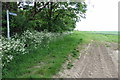 Footpath towards Wilden