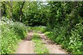 Footpath and track at Humber