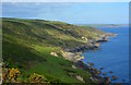 SX4248 : The coast between Rame Head and Penlee Point, Cornwall by Edmund Shaw