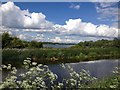 Thrapston Lakes